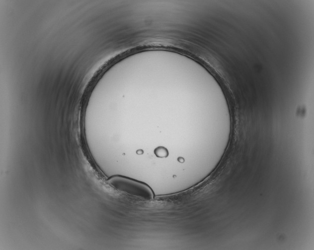 X0000110690984200907021929