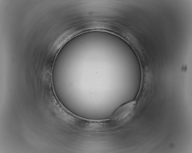 X0000110690985200907021929