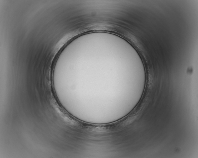 X0000110690986200907021929