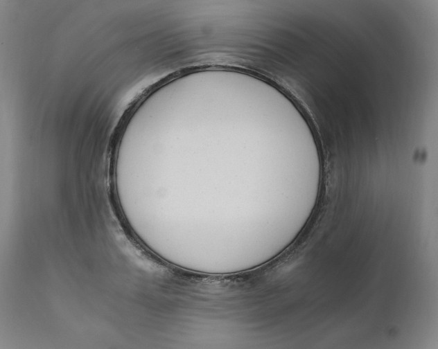 X0000110690987200907021929