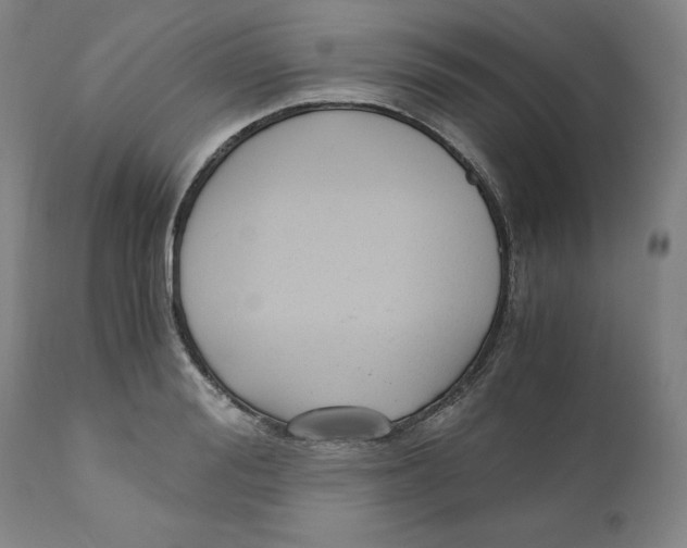 X0000110690988200907021929