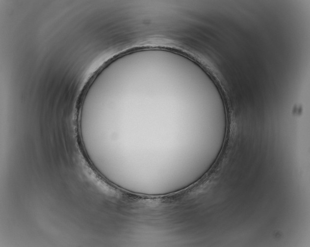 X0000110690990200907021929