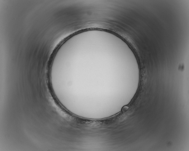 X0000110690991200907021929