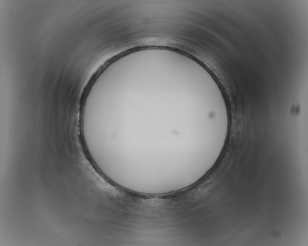 X0000110690992200907021929