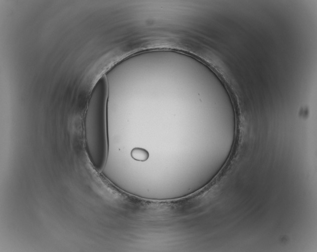 X0000110690993200907021929