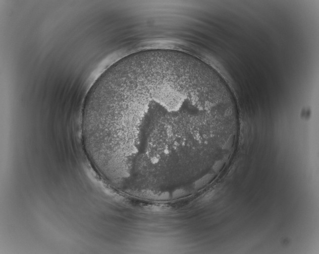 X0000110690994200907021929