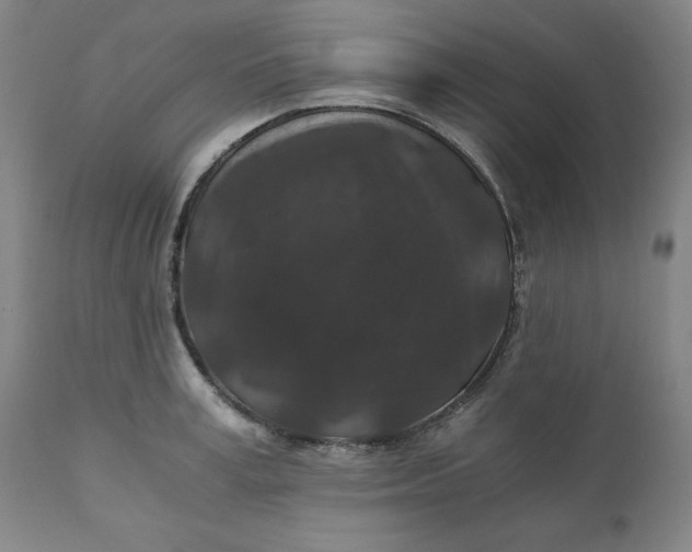 X0000110690995200907021929