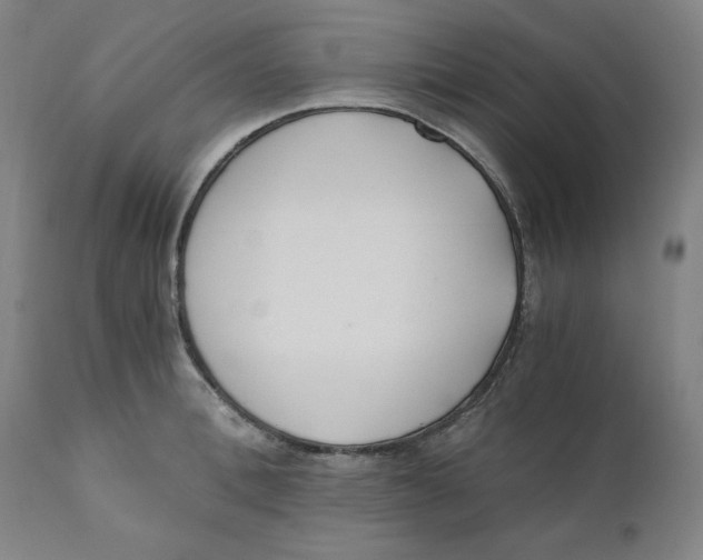 X0000110690996200907021929