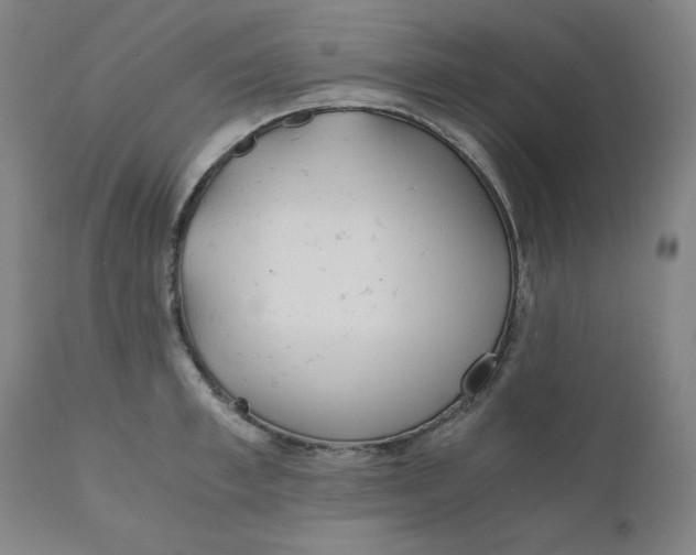 X0000110690997200907021929