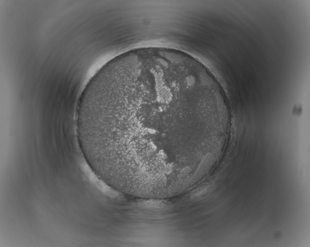 X0000110690998200907021929