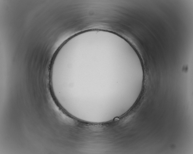 X0000110690999200907021929