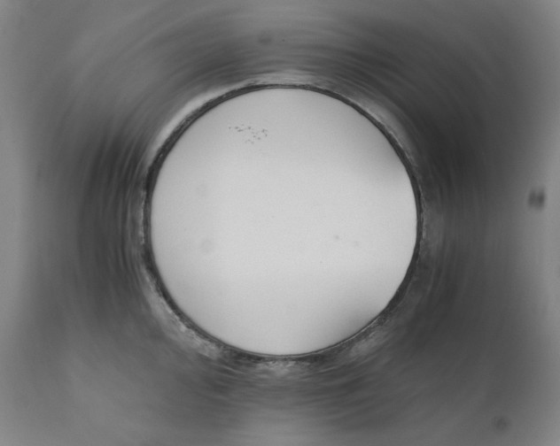 X0000110691000200907021929