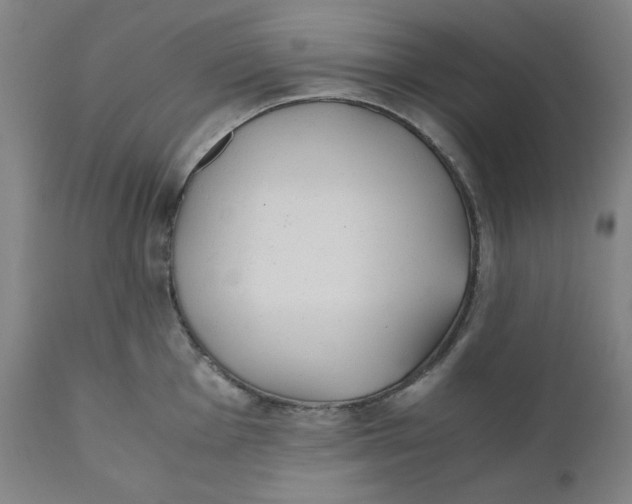 X0000110691001200907021929