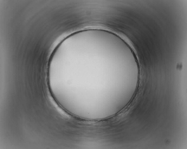 X0000110691005200907021929