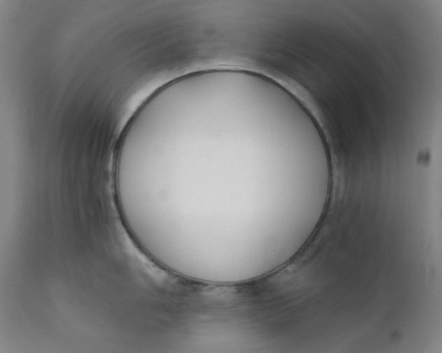 X0000110691006200907021929