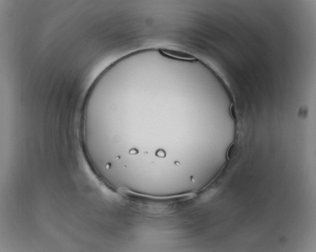 X0000110691007200907021929