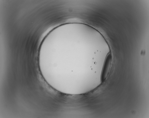 X0000110691008200907021929