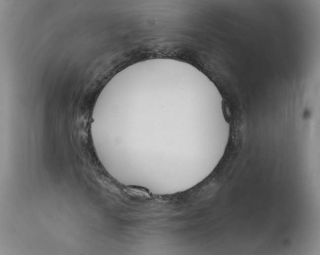 X0000110691010200907021928