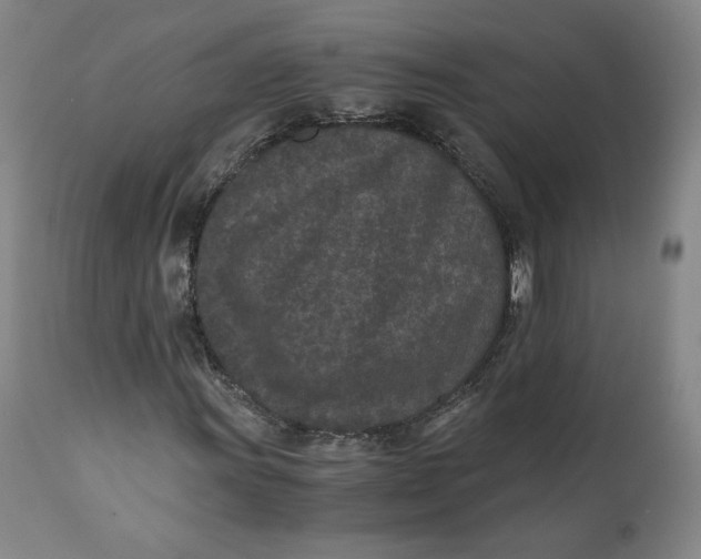 X0000110691011200907021928