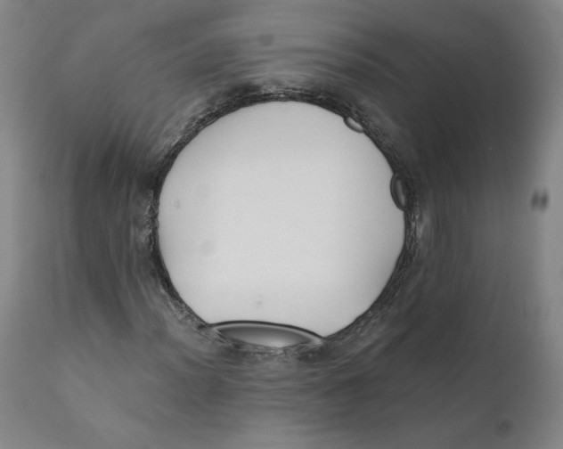 X0000110691012200907021928