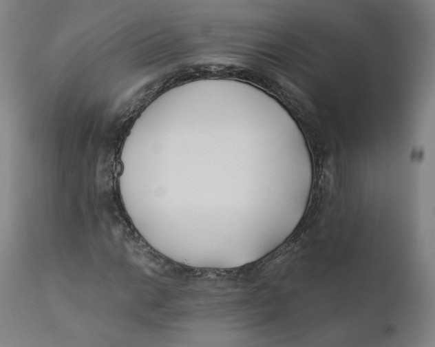 X0000110691014200907021928