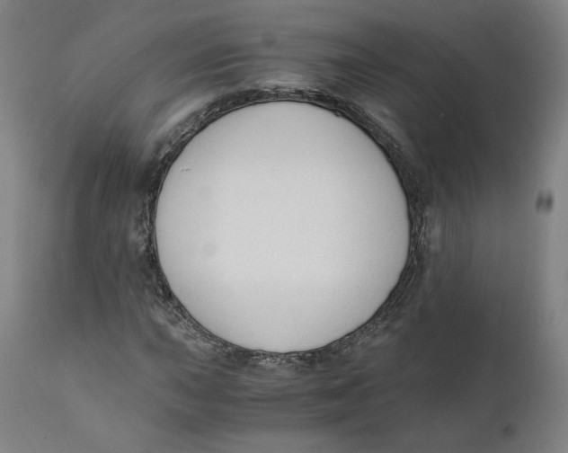 X0000110691015200907021928