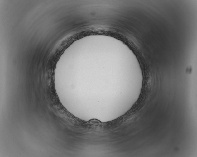 X0000110691016200907021928