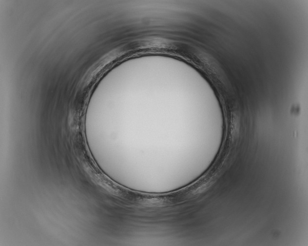 X0000110691017200907021928