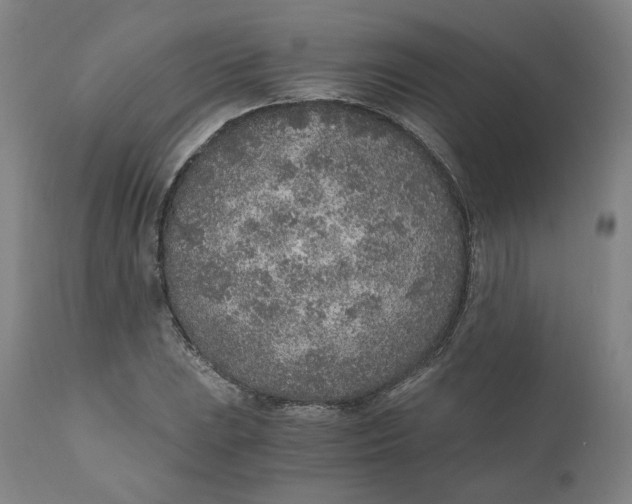 X0000110691023200907021928