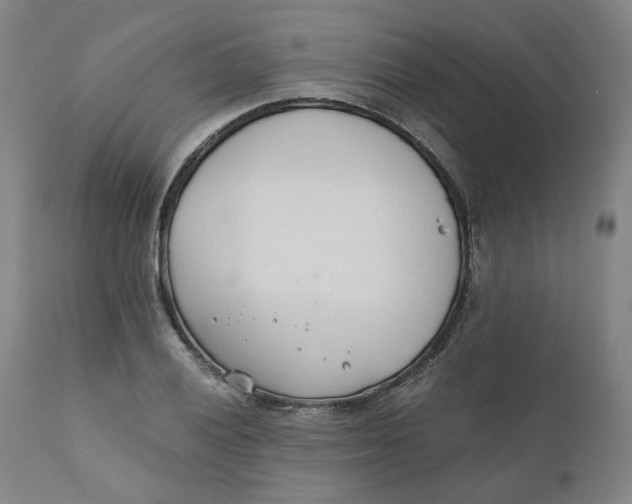 X0000110691028200907021928