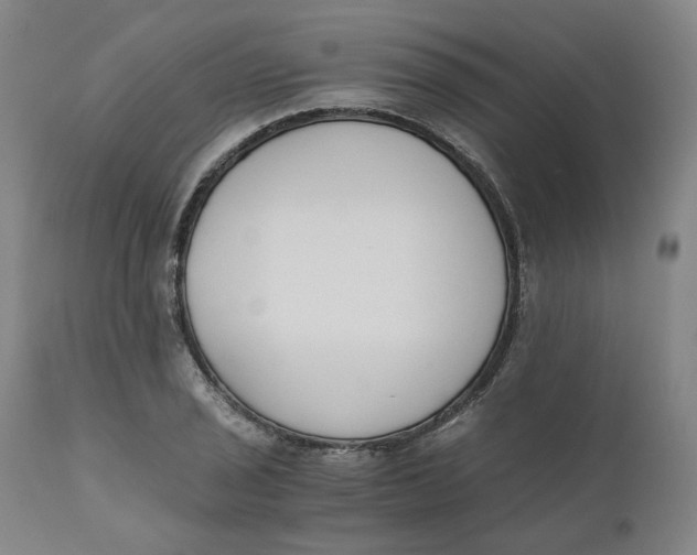 X0000110691029200907021928