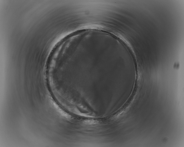 X0000110691037200907021929