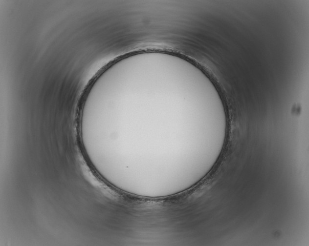 X0000110691038200907021929