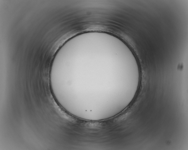 X0000110691041200907021929