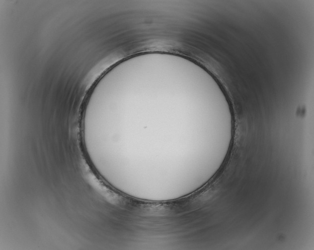 X0000110691042200907021929