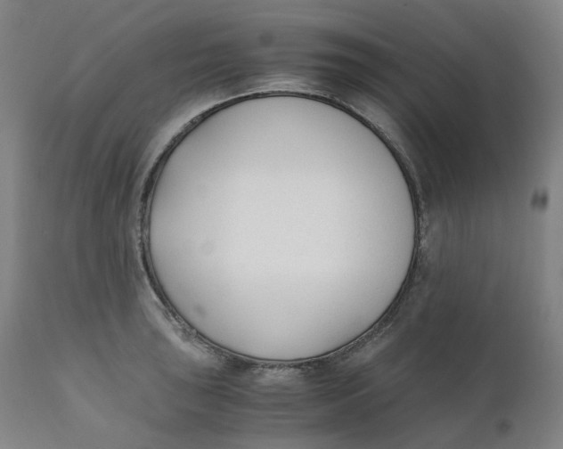 X0000110691043200907021929