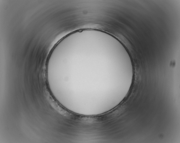 X0000110691044200907021929