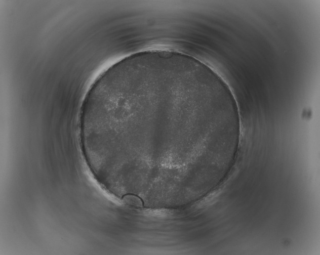 X0000110691045200907021929