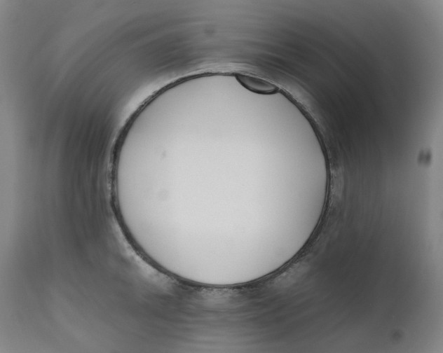 X0000110691046200907021929