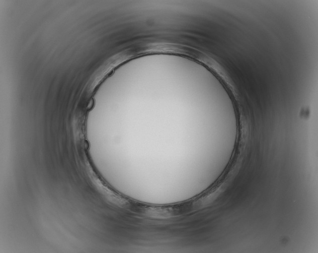 X0000110691049200907021929