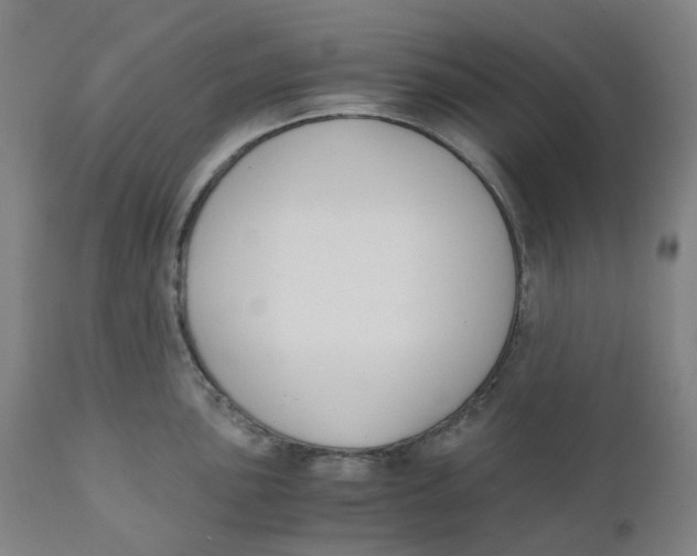 X0000110691051200907021929