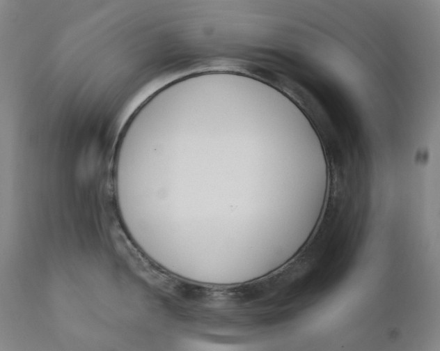 X0000110691052200907021929