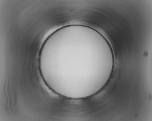 X0000110691053200907021929