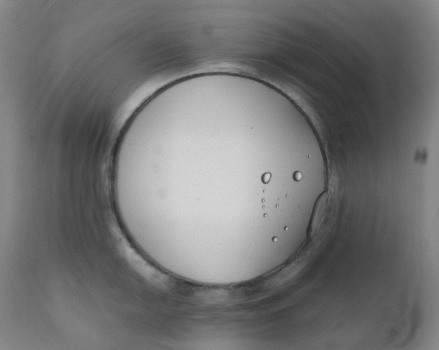 X0000110691054200907021929