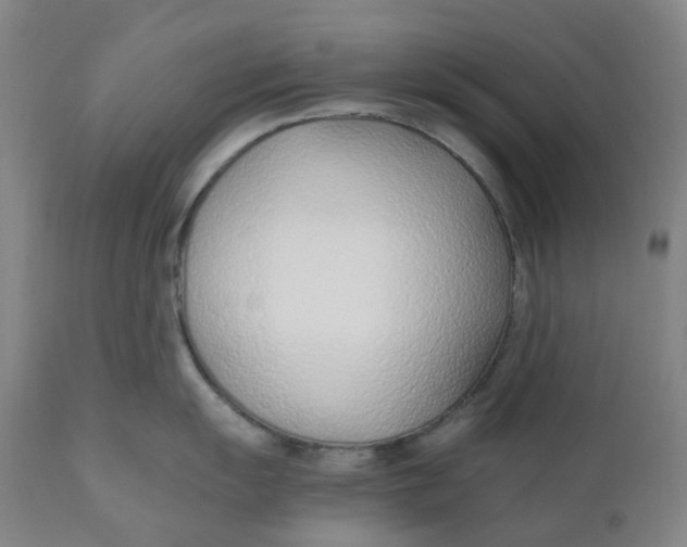 X0000110691055200907021929