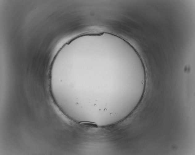 X0000110691056200907021929