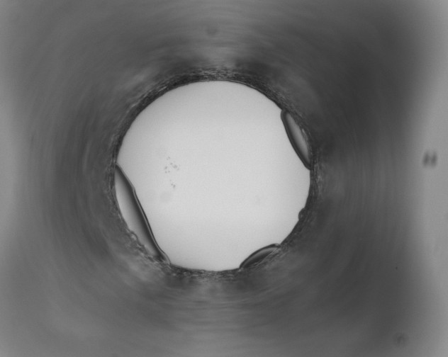 X0000110691057200907021928