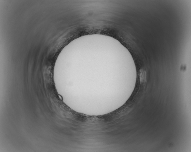 X0000110691059200907021928