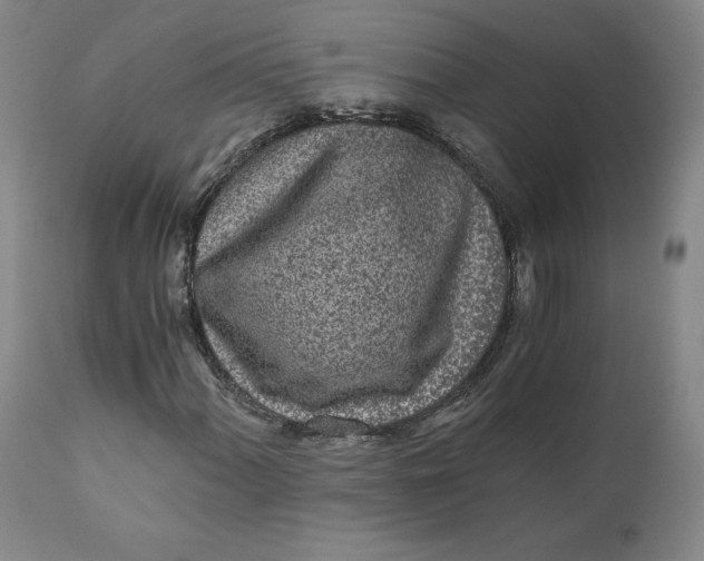 X0000110691060200907021928