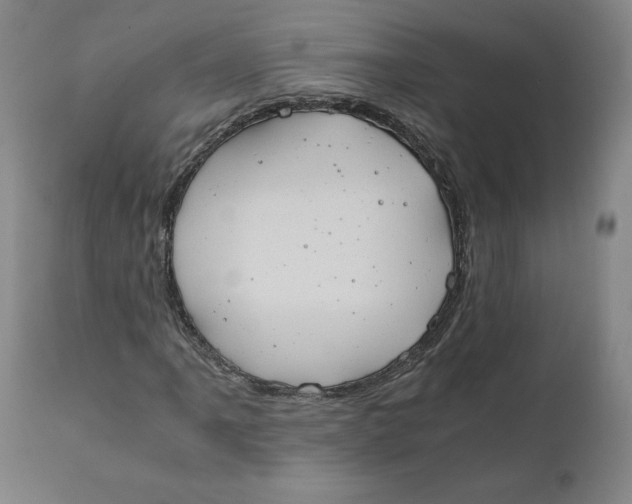 X0000110691061200907021928